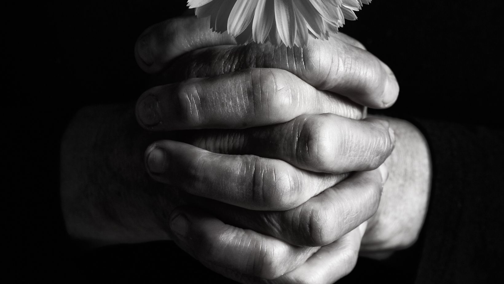 The Advocate Obituaries Baton Rouge: Grief and Remembrance in Our